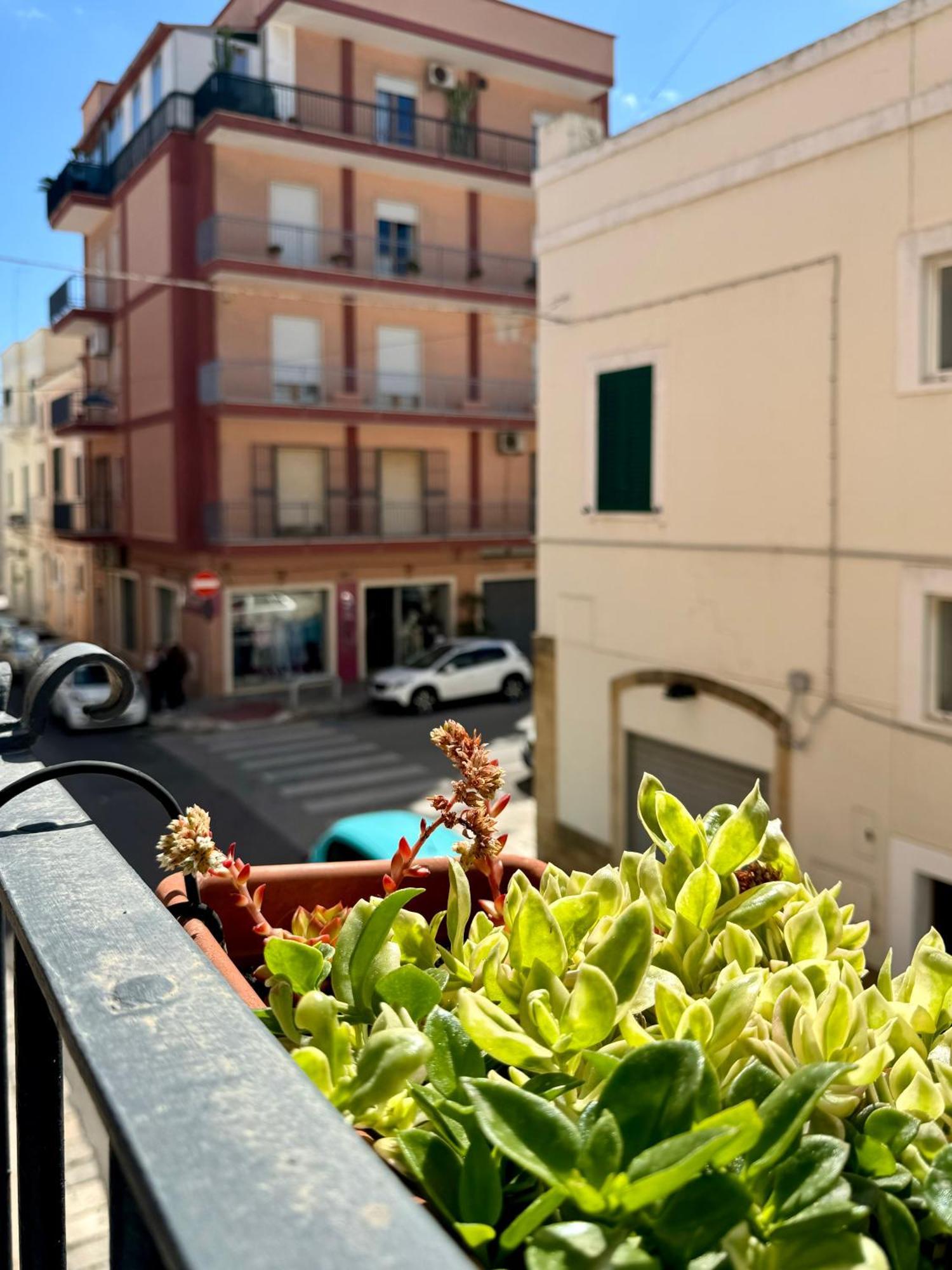 Casa Palestro Apartman Monopoli Kültér fotó